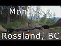 Monticola - Rossland BC