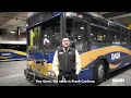 Hop on Board and Join the DASH Team