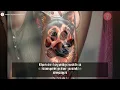 Top 8 Dog Tattoo Ideas to Honor Your Pet 2024