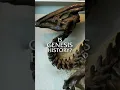 How are DINOSAUR Fossils Formed