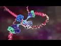Download Lagu DNA animation (2002-2014) by Drew Berry and Etsuko Uno wehi.tv #ScienceArt