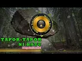Download Lagu TAPOR TAPOR NI BATU - MASPUTRA PASARIBU (KARAOKE VIDEO MUSIK)