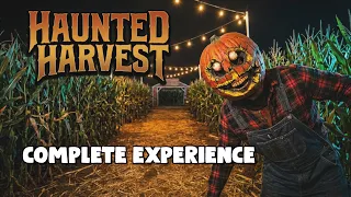 Haunted Harvest Corn Maze at Frosty's Pumpkin Patch - Chino, California