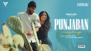 punjaban mashup harshal music sukha x the prophec x tegi pannu punjabi love mashup 2025
