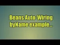 29 Beans Auto-Wiring byName