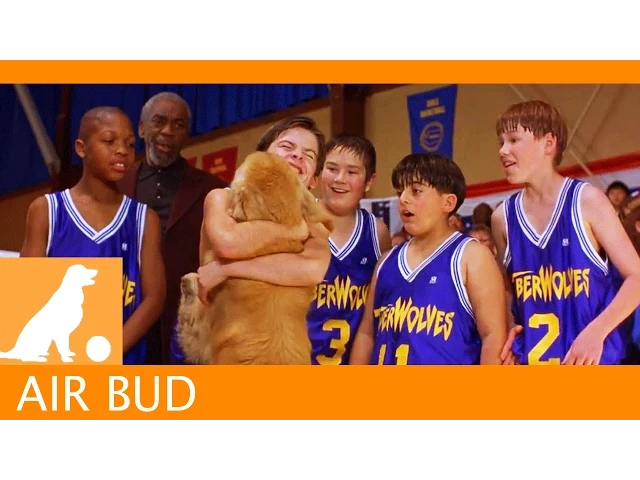 Air Bud Sports News - Model Teammate