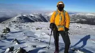                                             دندنها