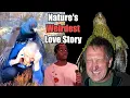 Download Lagu The Science Behind Why Birds Find Us Attractive