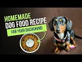 Homemade Dachshund Food Recipe Easy Healthy and Picky-Eater Approved