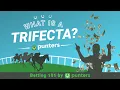 What is a Trifecta Betting 101