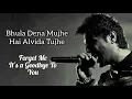 BHULA DENA MUJHE LYRICS MEANING, MUSTAFA ZAHID