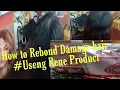 Download Lagu How to Rebond Damage hair#Rene Product