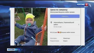 Полицейские нашли родителей ребенка, фотография которого появилась в объявлении о продаже мальчика