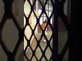 TDCJ BLOOD NIGGA GET PUT DOWN