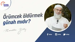 Örümcek öldürmek günah mıdır?