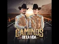 Los Caminos de La Vida