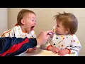 Download Lagu Babies Non-Stop🤪 | 24-Hour Stream of Endless Cuteness!🫠