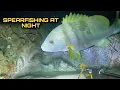 Download Lagu Spearfishing at Night Hunting Fresh Seafoods Palawan Philippines Episode III