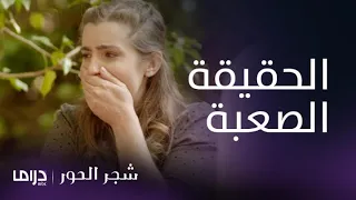 مسلسل شجر الحور الحلقة 36 إيليني تنهار بعد علمها بحقيقة أمها 