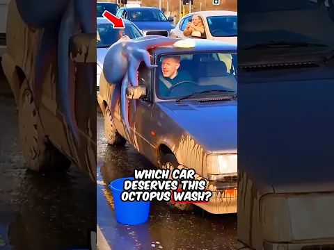 Which Car Deserves This Octopus Wash? 🐙✨