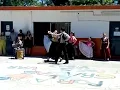La Cerrillana (los Chalchaleros)