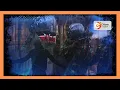 Download Lagu Citizen TV Live