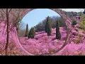 夢追い酒；渥美二郎 - Yume oi zake ; Atsumi Jiro