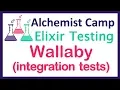 Integration testing Elixir with Wallaby