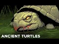 Download Lagu Turtles Used To Be Terrifying…