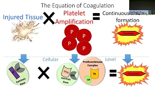 Download The Coagulation Engine   What all Surgeons Should Know   L Posey MP3