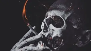 فيفة٢٠٢٦ا