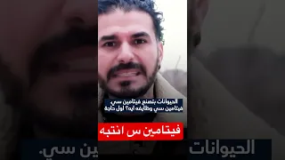 فيتامين س الحقيقي  دكريم على          دندنها