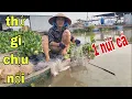 Lagu Mới Kéo Đầu Lưới Lên Là Cá Dính Nùi Nùi Như Vậy Hỏi Sao Không Ham # SĂN BẮT ĐỒNG THÁP #
