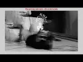 YOUR PRESENCE IS WORTH MORE + BEHOLD THE TABERNACLE | Rubens Oliveira | Live Ministration (Audio)