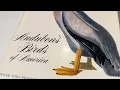 8-20-26 Estate Auction Audubon s Birds of America book 185 in 1981