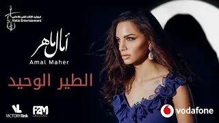                                  آمال ماهر   الطير الوحيد دندنها