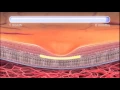 Download Lagu Age-Related Macular Degeneration