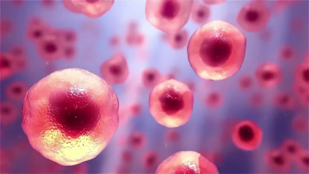 Thermo Fisher 3D Cgi Product Video