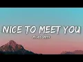 Myles Smith - Nice To Meet You (Lyrics)