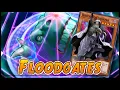 Apparently Everybody Loves Floodgates