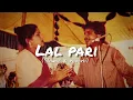 Lagu Jinhe Lal Pari Na Peeti | lofi mix | slowed + reverb | Amar Singh Chamkila \u0026 Amarjot Kaur