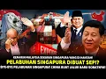 Lagu Tiket Tol Singapura Ditinggalkan! Sekarang Indonesia Resmi Punya Jalur Sendiri Tanpa Singapura!