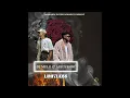 Dj Melo & Aries Rose - Limitless Mp3 Song Download
