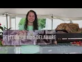 Where does a Delaware Tech education take you Happy National Community College Month