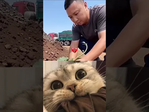 #aesthetic