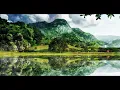Download Lagu instrument kicauan burung