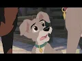 Download Lagu Scamp Turns on his Dad - Lady and the Tramp 2 Scamp Adventure HD