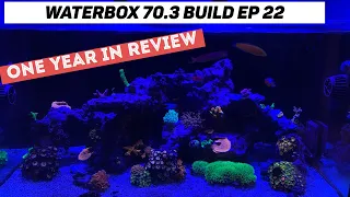 Waterbox 70 3 Build Ep 22 Year One Tank Progression