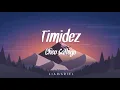 Cheo Gallego - Timidez (Letra)
