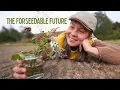 Download Lagu 🌱🍄 From Sowing to Foraging… and a Surprise at the End! | Year 1 ep 32